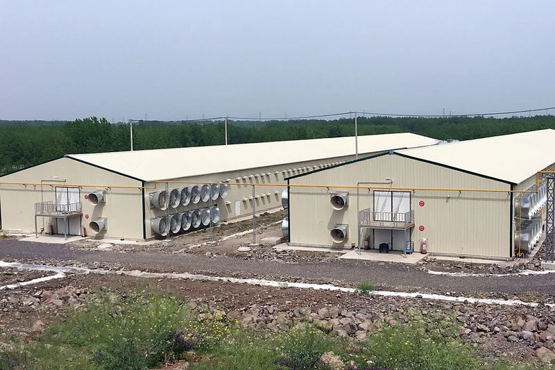 Big Dutchman покупает у Betco подразделение по строительству животноводческих объектов
