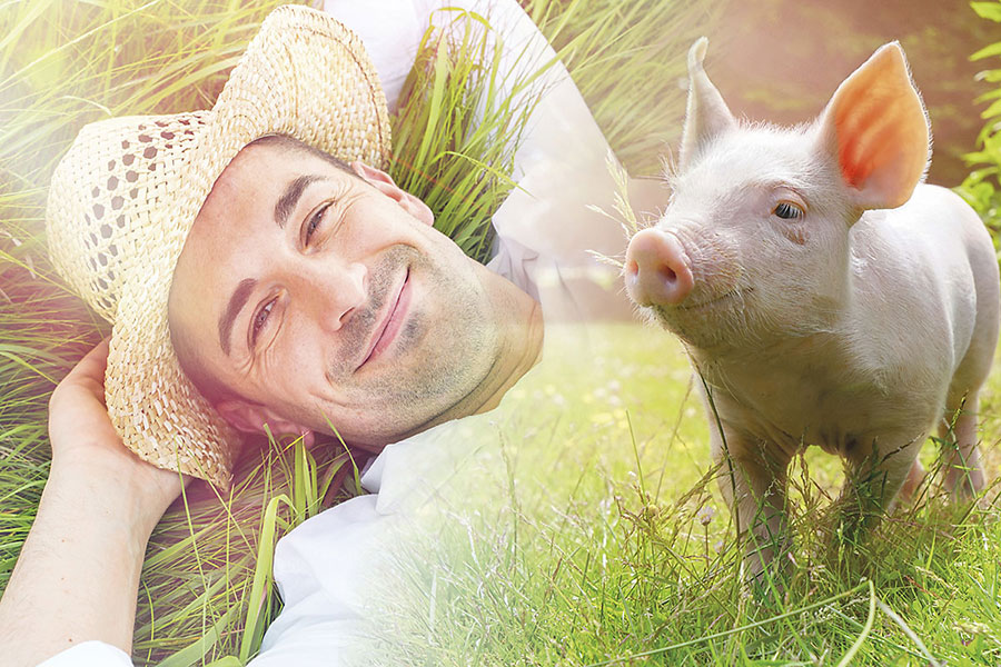 Mann und Ferkel im Gras